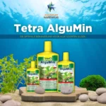 Tetra-algumin-tegen-algen-in-het-aquarium