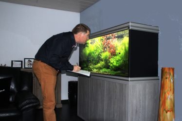 Albino Zwaarddrager aquarium
