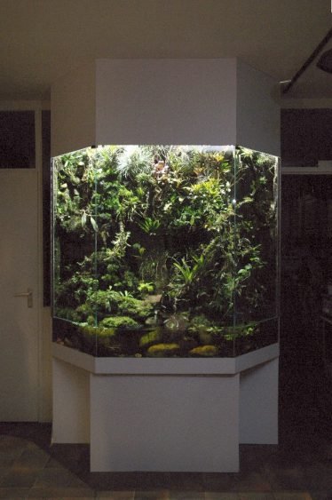 Het hightech paludarium van Hans Willems te Nieuwegein.