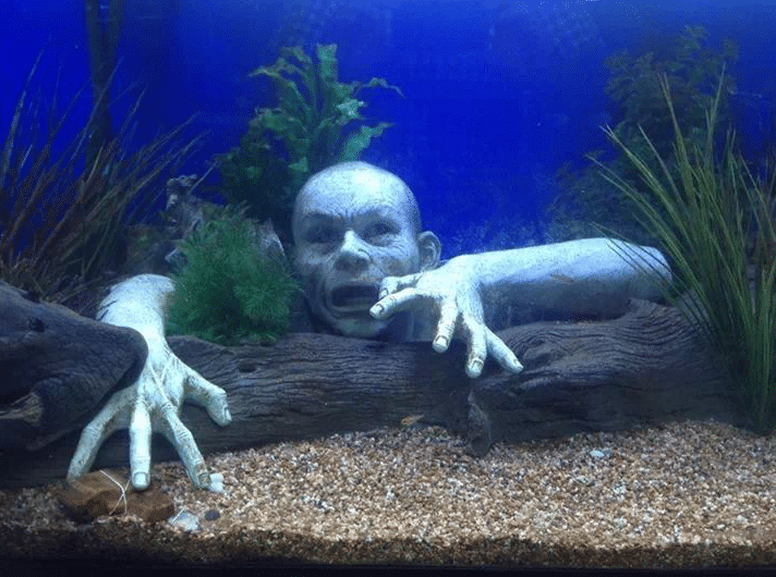 Aquarium decoratie of breekt je aquarium! (met