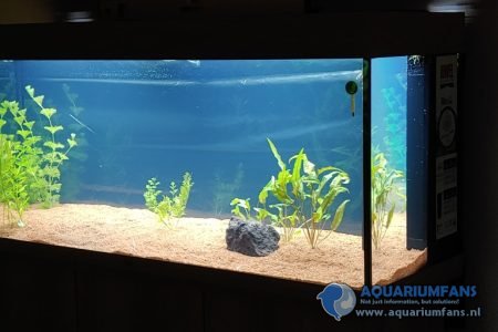 Mijn 80cm bak stond er tegenover, en 50% van dat aquariumwater in de nieuwe bak gedaan...en langzaam aan opstarten.